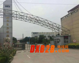 聊城東泰導熱鍋爐清洗