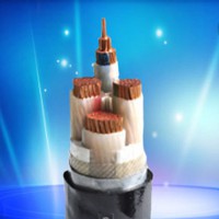 遠(yuǎn)東電纜額定電壓交聯(lián)聚乙烯絕緣電力電纜