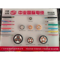 廣東中業國際電纜有限公司WDZB1BYJ10mm2